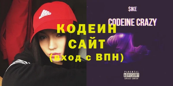 дмт Кодинск