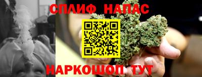 PSILOCYBIN Гусиноозёрск